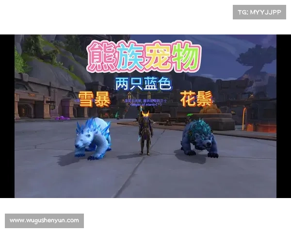 魔兽世界低级宠物快速升级装备技能攻略